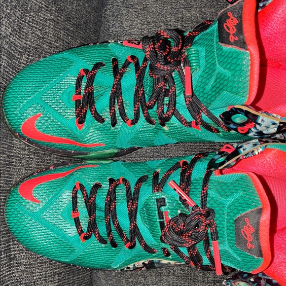 LeBron 12 Akron Birch main image 8